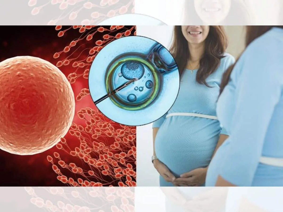 ЭКО с использованием донорских яйцеклеток